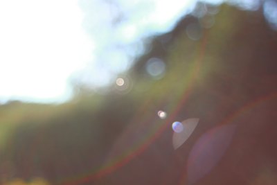 IMG_0466.JPG