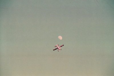 moonflige.jpeg